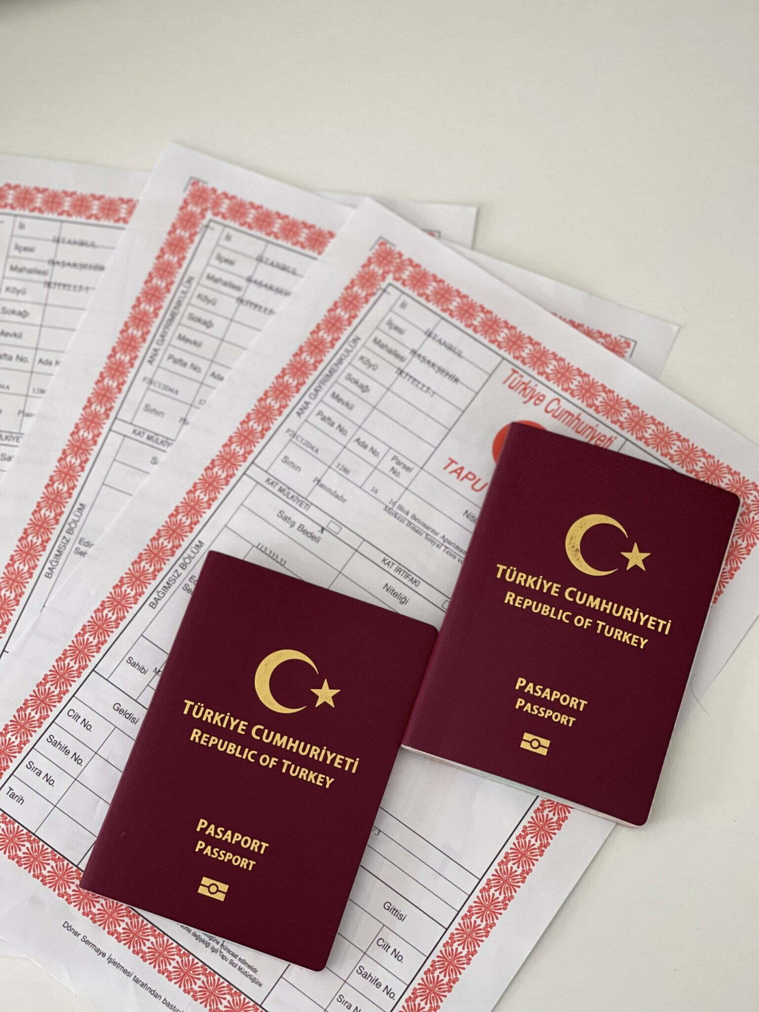 Turkish Citizenship Telex Property 1536x2048 1